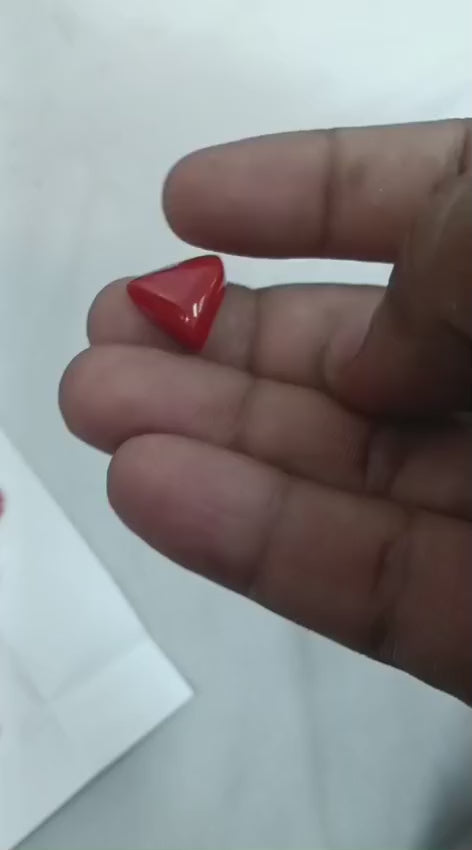 Italian Red Coral (Moonga)