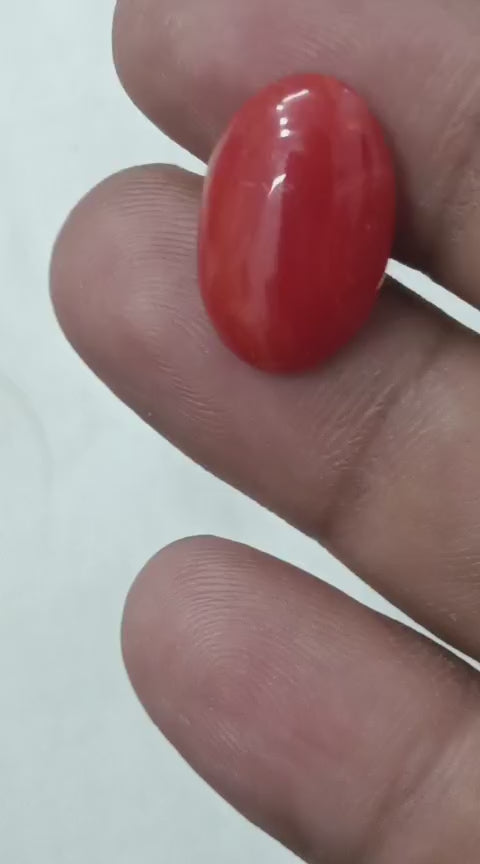 Italian Red Coral (Moonga)