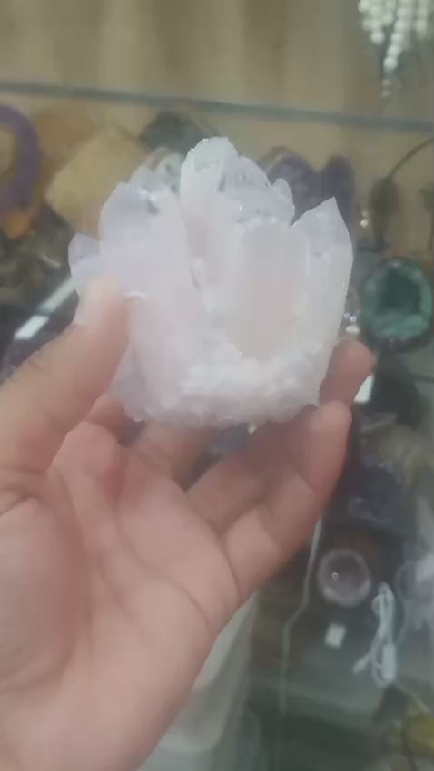 Selenite Family Cluster