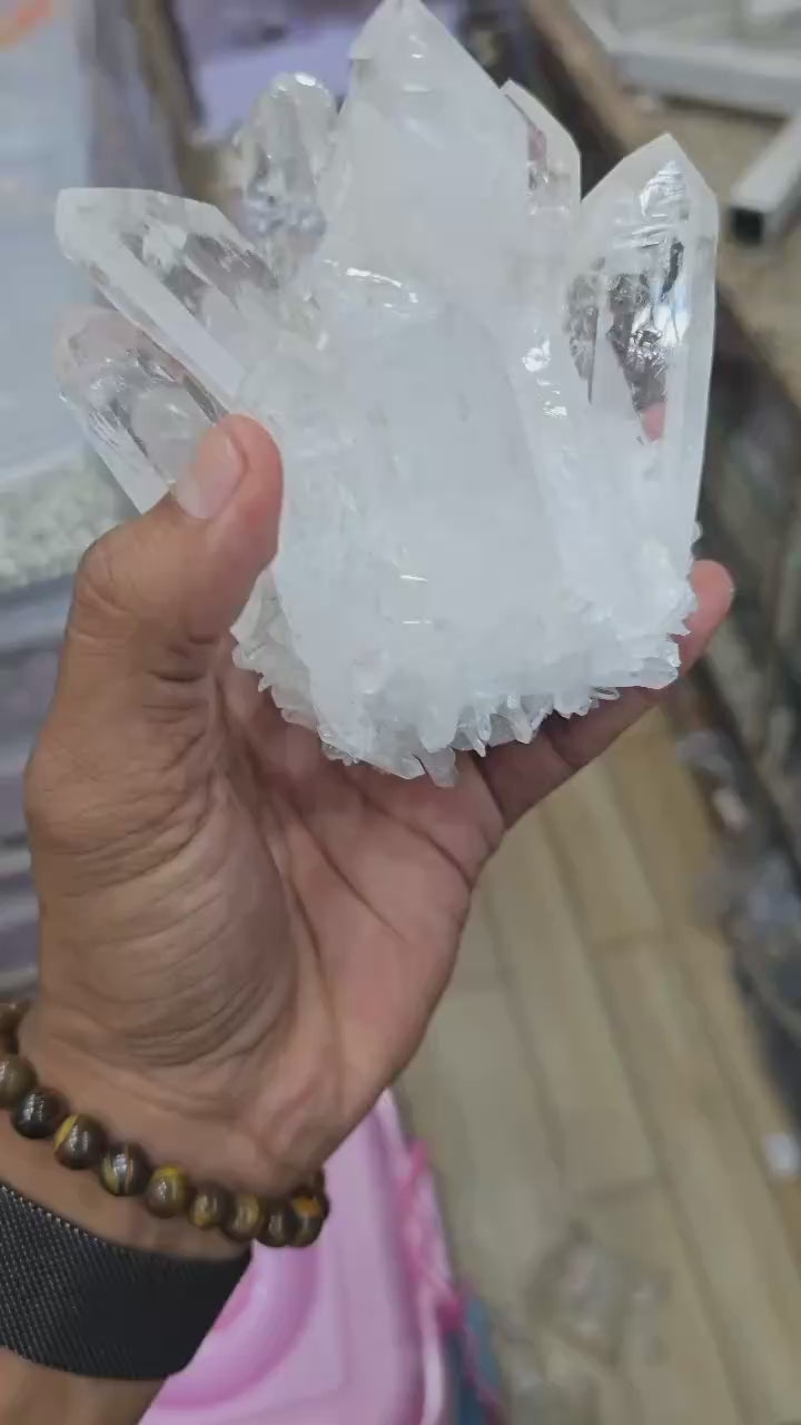 Selenite Family Cluster