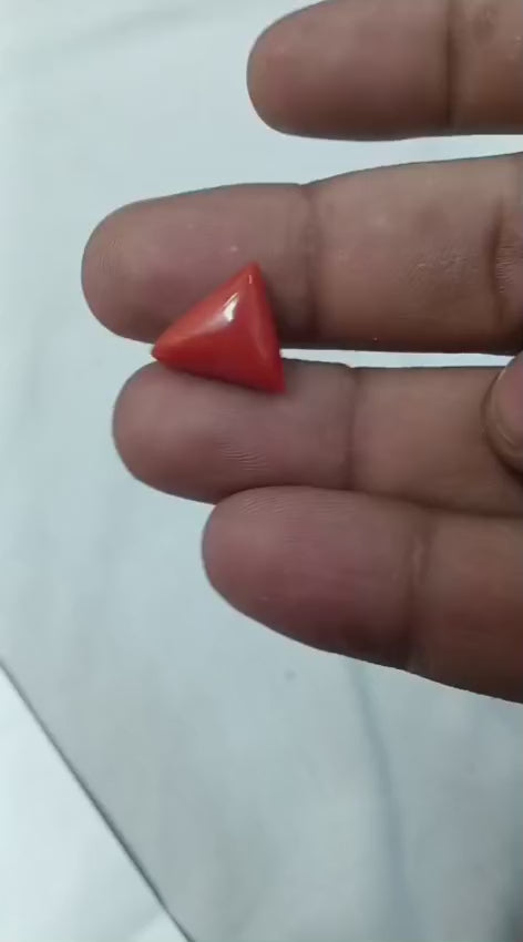 Italian Red Coral (Moonga)