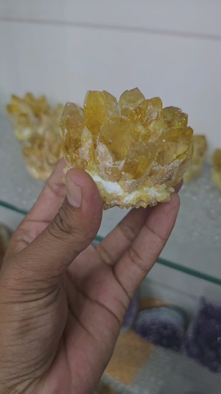 Citrine Family Cluster